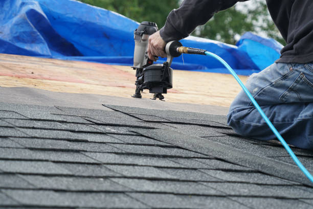 Best Chimney Flashing Repair  in Park Center, CO